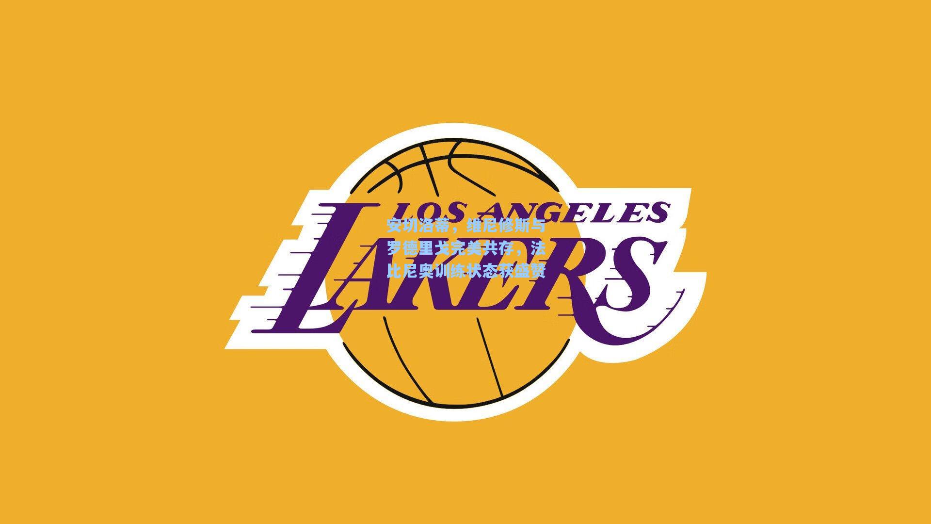 安切洛蒂，维尼修斯与罗德里戈完美共存，法比尼奥训练状态获盛赞